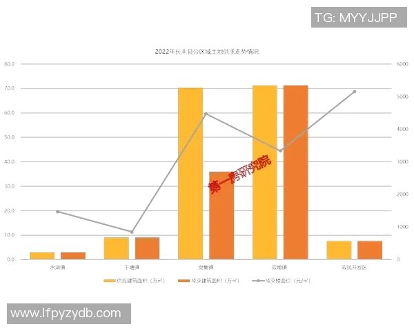 深圳排球队的崛起之路：从默默无闻到联赛强队的奋斗历程